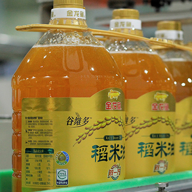 發(fā)展循環(huán)經(jīng)濟(jì)