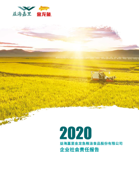 2020年企業(yè)社會(huì)責(zé)任報(bào)告