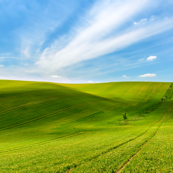 應(yīng)對(duì)氣候變化